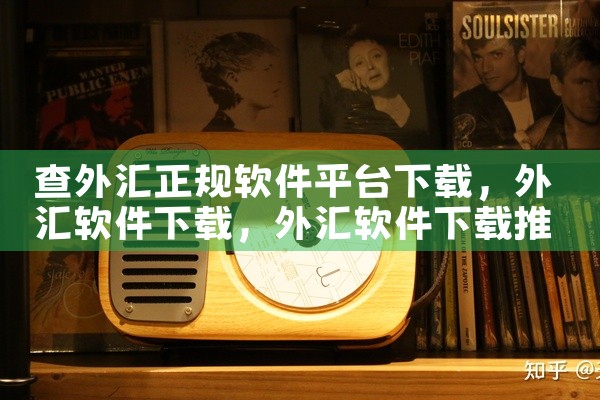 查外汇正规软件平台下载