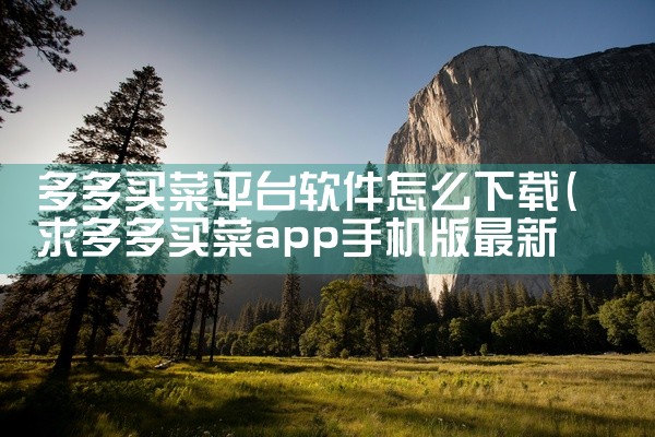 多多买菜平台软件怎么下载
