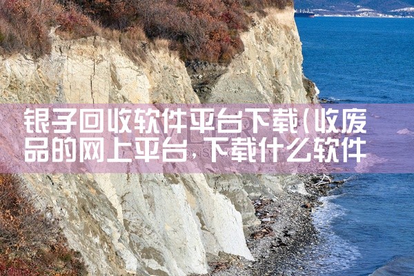 银子回收软件平台下载