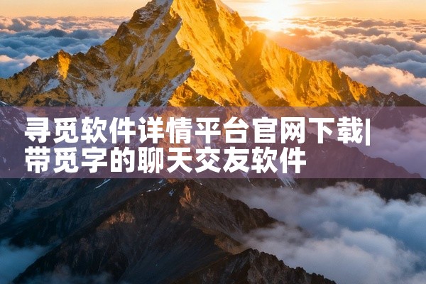 寻觅软件详情平台官网下载