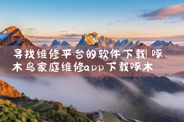 寻找维修平台的软件下载
