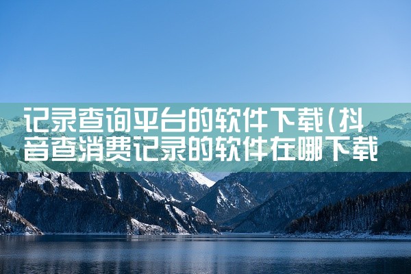 记录查询平台的软件下载
