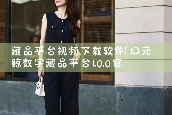 藏品平台视频下载软件