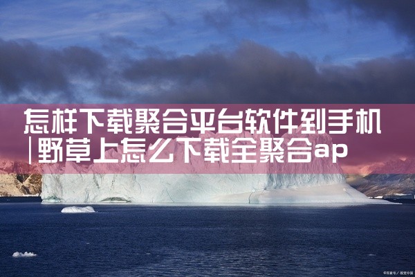 怎样下载聚合平台软件到手机