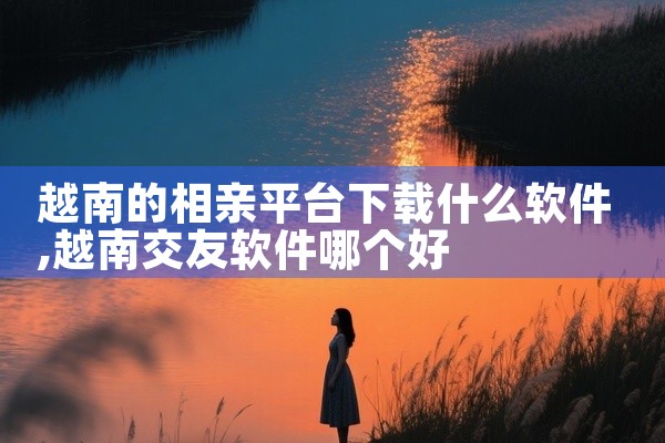越南的相亲平台下载什么软件