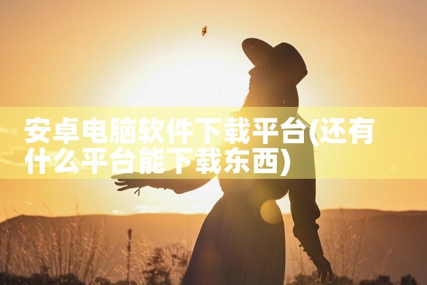 安卓电脑软件下载平台