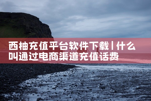 西柚充值平台软件下载