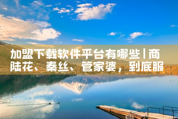 加盟下载软件平台有哪些