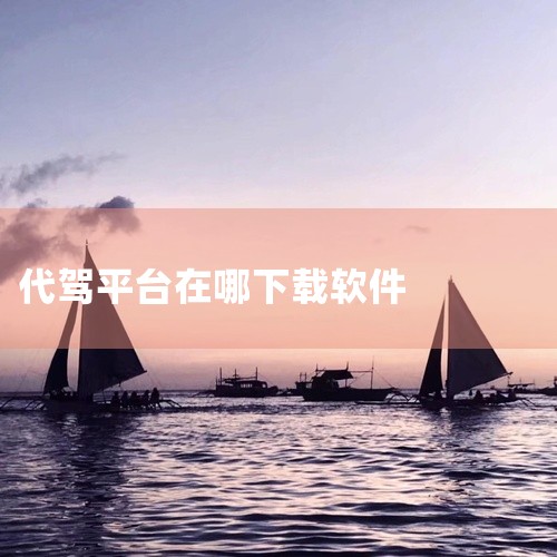 滴滴代驾司机端8.11.0版本可以通过以下方式下载：一、安卓系统1. 官方应用商店：打开手机中的应用商店，如华为应用市场、小米应用商店、OPPO软件商店等。在应用商店的搜索栏中输入“滴滴代驾司机”，然,