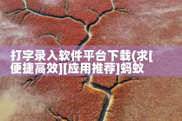 打字录入软件平台下载